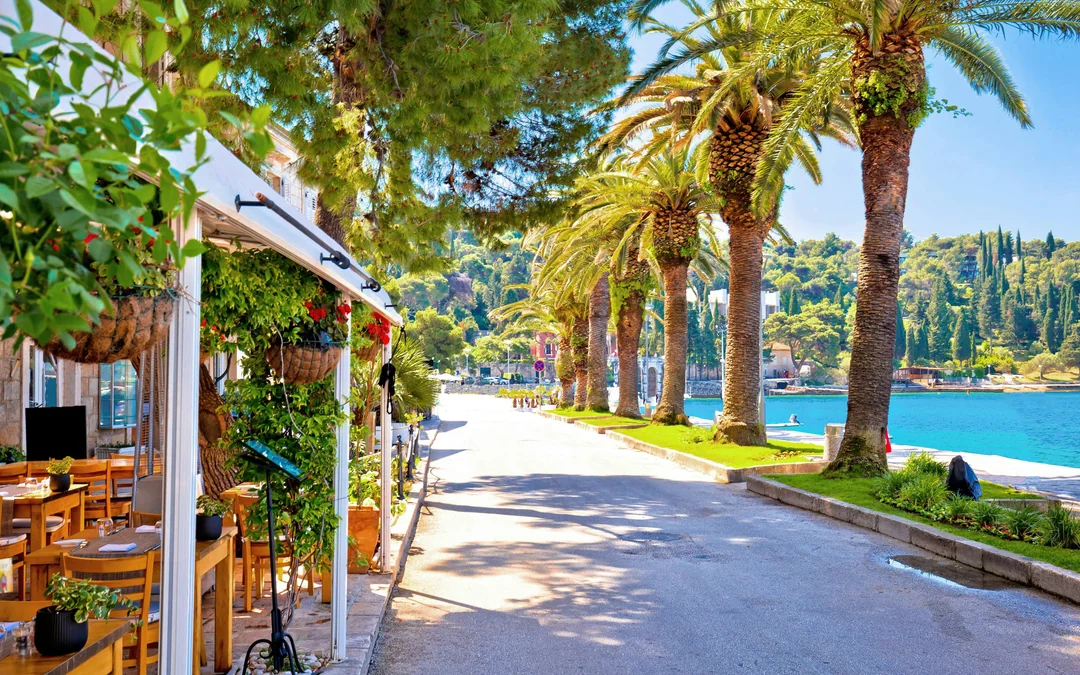 From Dubrovnik: Cavtat Tour with Mount Srđ Viewpoints Image 5