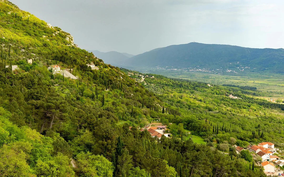 From Dubrovnik: Full-Day Trip to Kotor & Perast in Montenegro Image 2