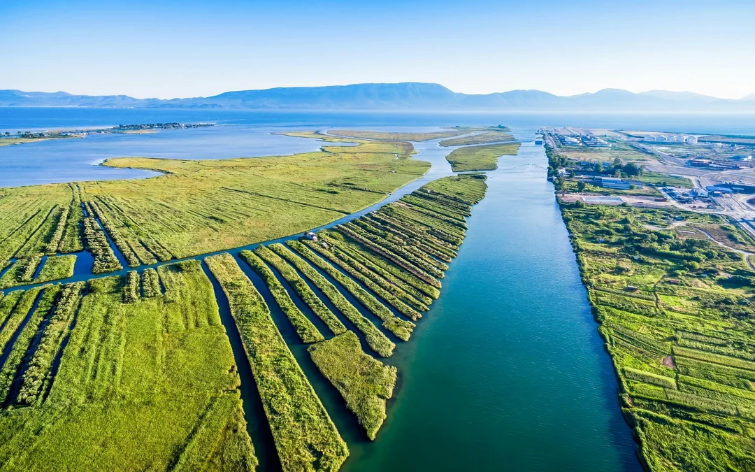 From Dubrovnik: Kiteboarding in Delta Neretva Image 2