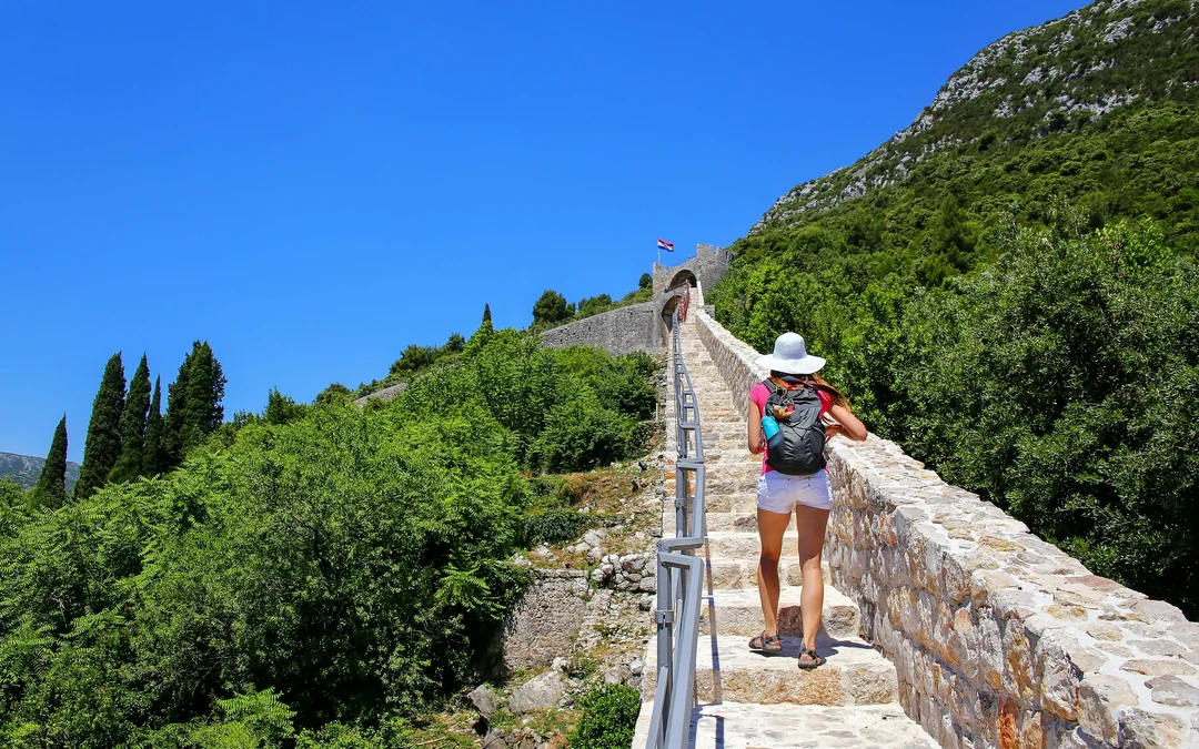 From Dubrovnik: Korčula & Ston Small Group Tour with Wine Tasting Image 2