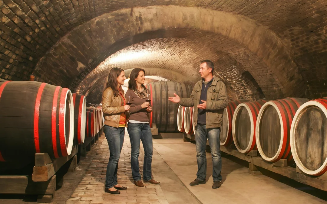 From Dubrovnik: Pelješac Peninsula Small Group Wine Tour Image 1