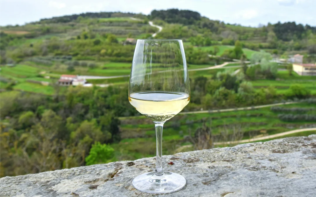 From Dubrovnik: Pelješac Peninsula Small Group Wine Tour Image 5
