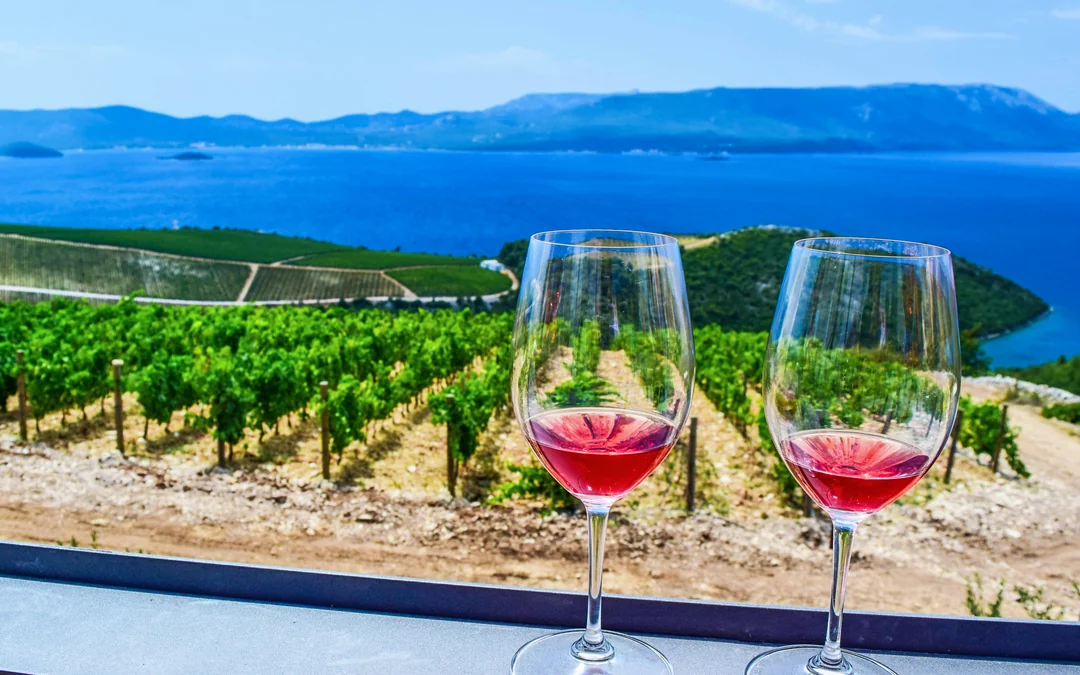From Dubrovnik: Pelješac Wine Region Private Tour with Winery Visits Image 3