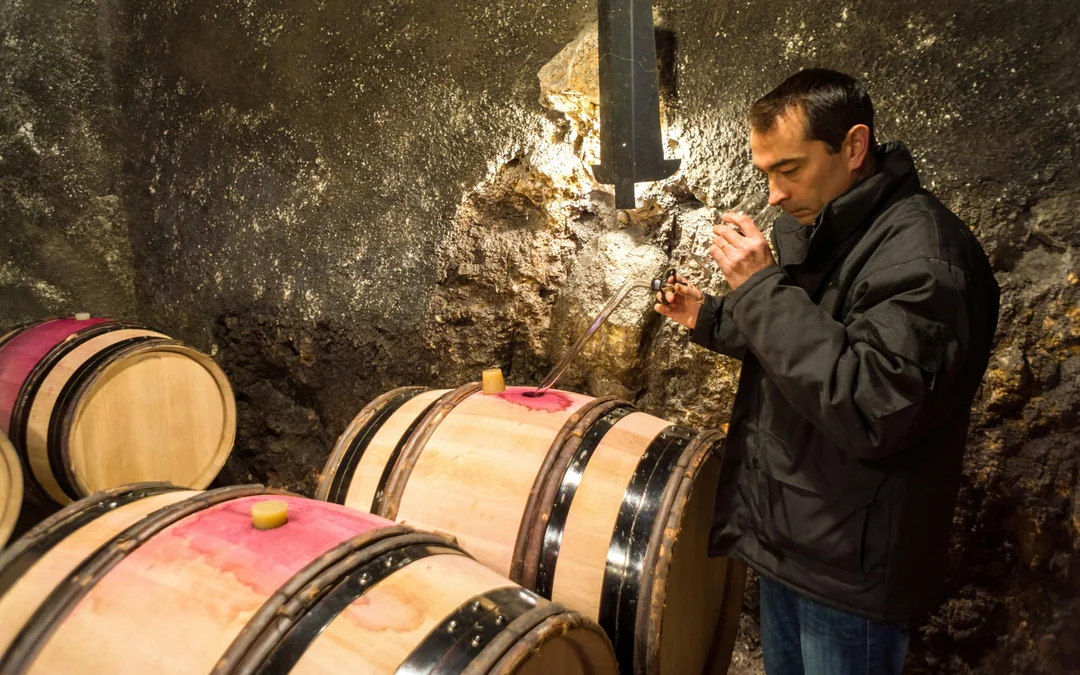 From Dubrovnik: Trebinje Tour with Wine Tasting Image 12