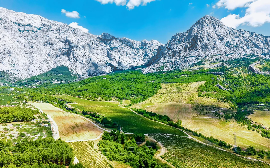 From Dubrovnik: Trebinje Tour with Wine Tasting Image 4