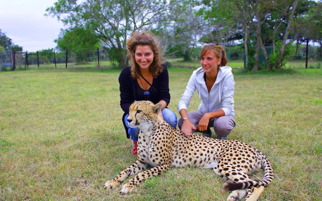 From Durban: Hluhluwe Imfolozi Big 5 Safari & Emdoneni Wild Cat Conservation Tour Image 4