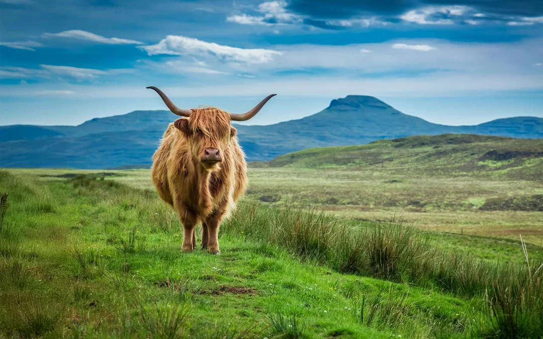 From Edinburgh: Loch Ness and The Highlands Day Trip with Lunch & Optional Cruise Image 2