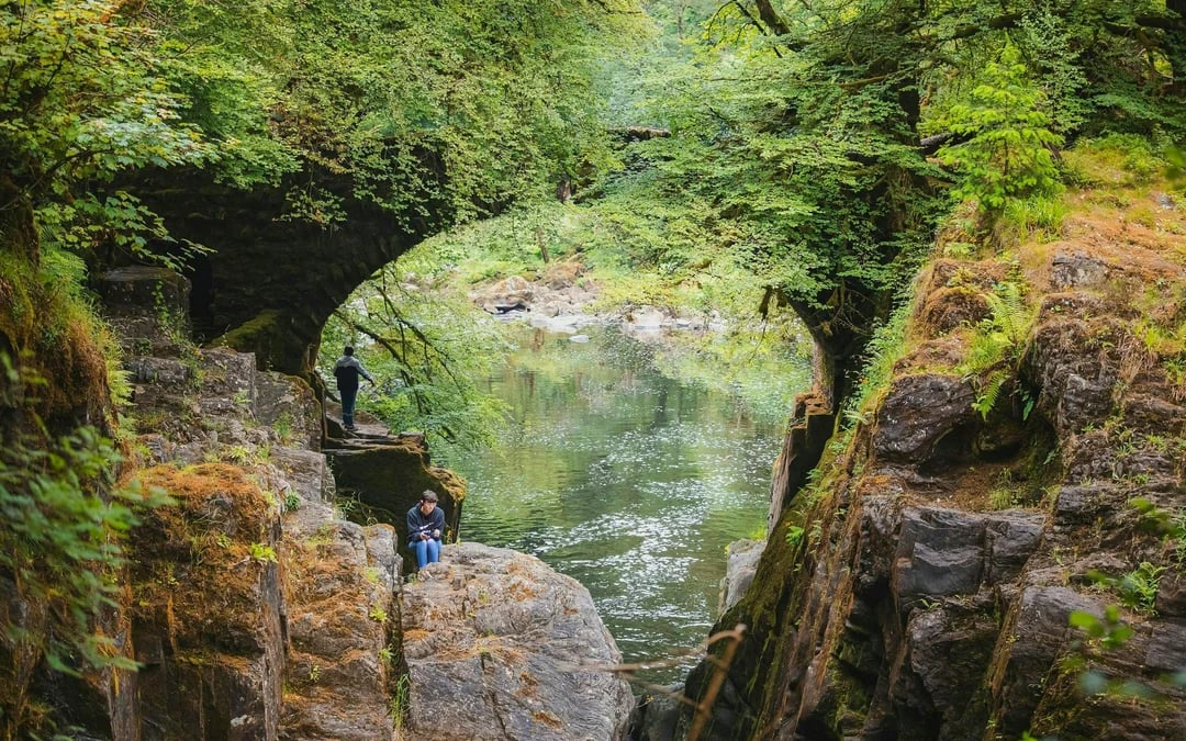 From Edinburgh: Scottish Glens, The Highlands and Whisky Tours Image 3