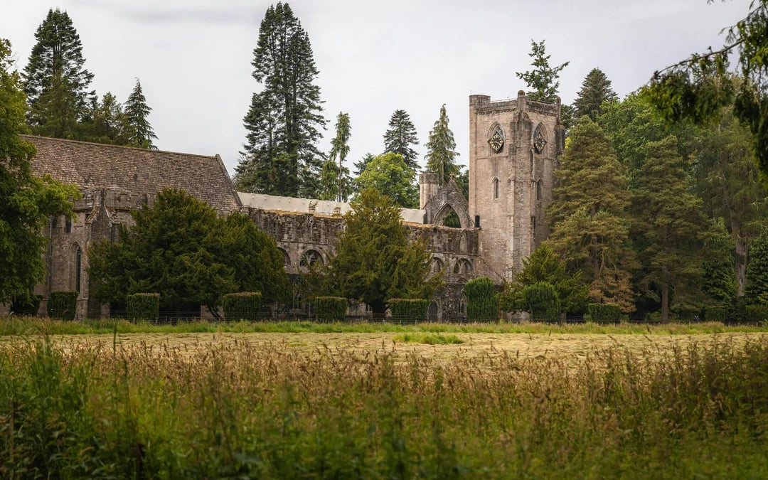 From Edinburgh: Scottish Glens, The Highlands and Whisky Tours Image 4