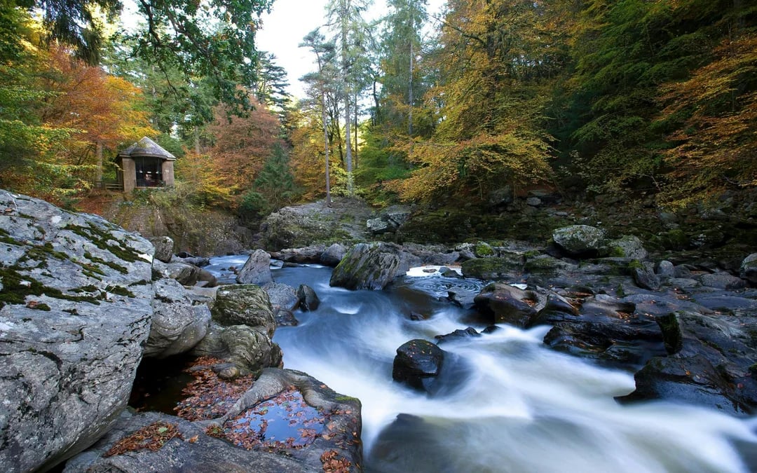 From Edinburgh: Scottish Glens, The Highlands and Whisky Tours Image 5