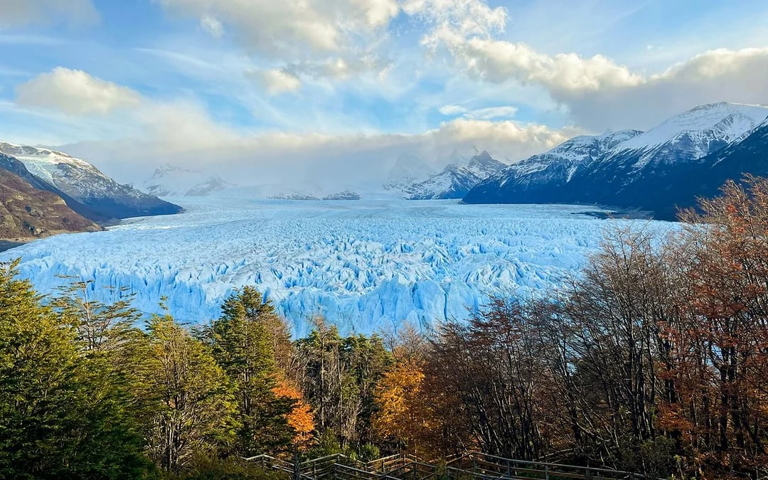 From El Calafate: Perito Moreno Glacier Tour Image 11