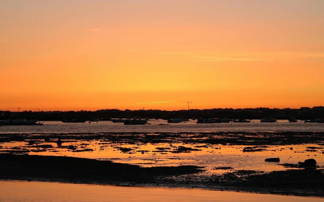 From Faro: Ria Formosa Sunset Boat Tour Image 3