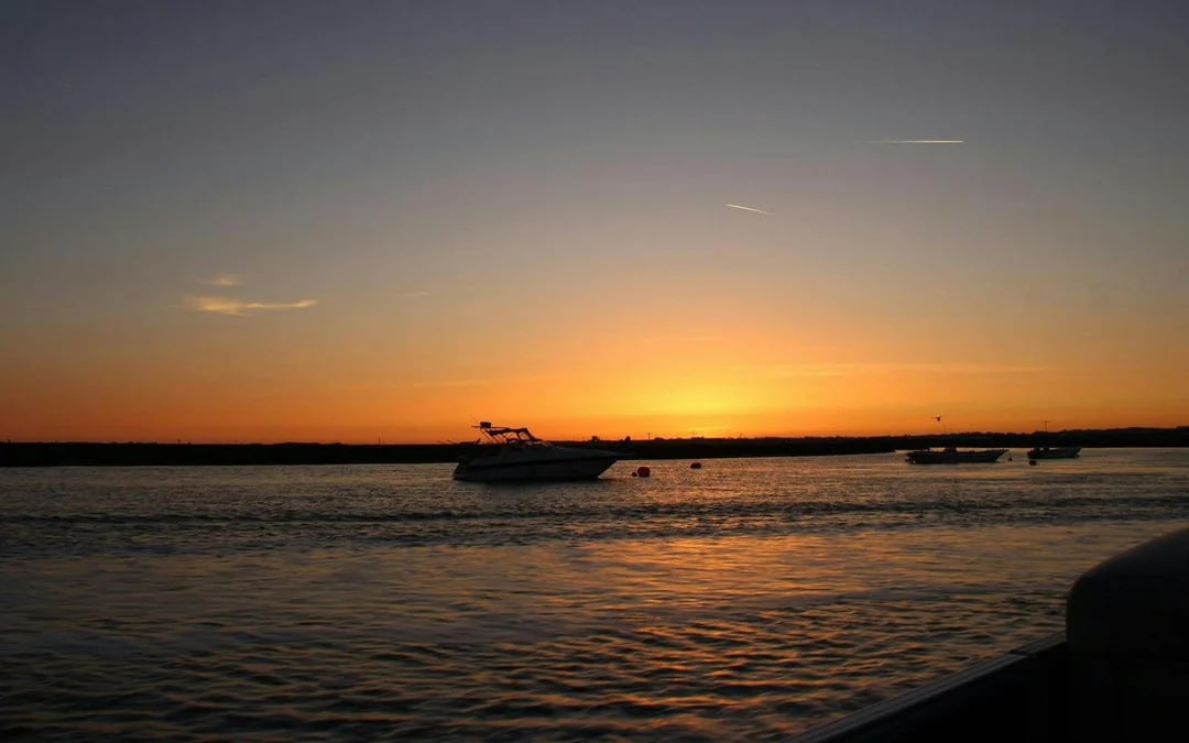From Faro: Ria Formosa Sunset Boat Tour Image 4