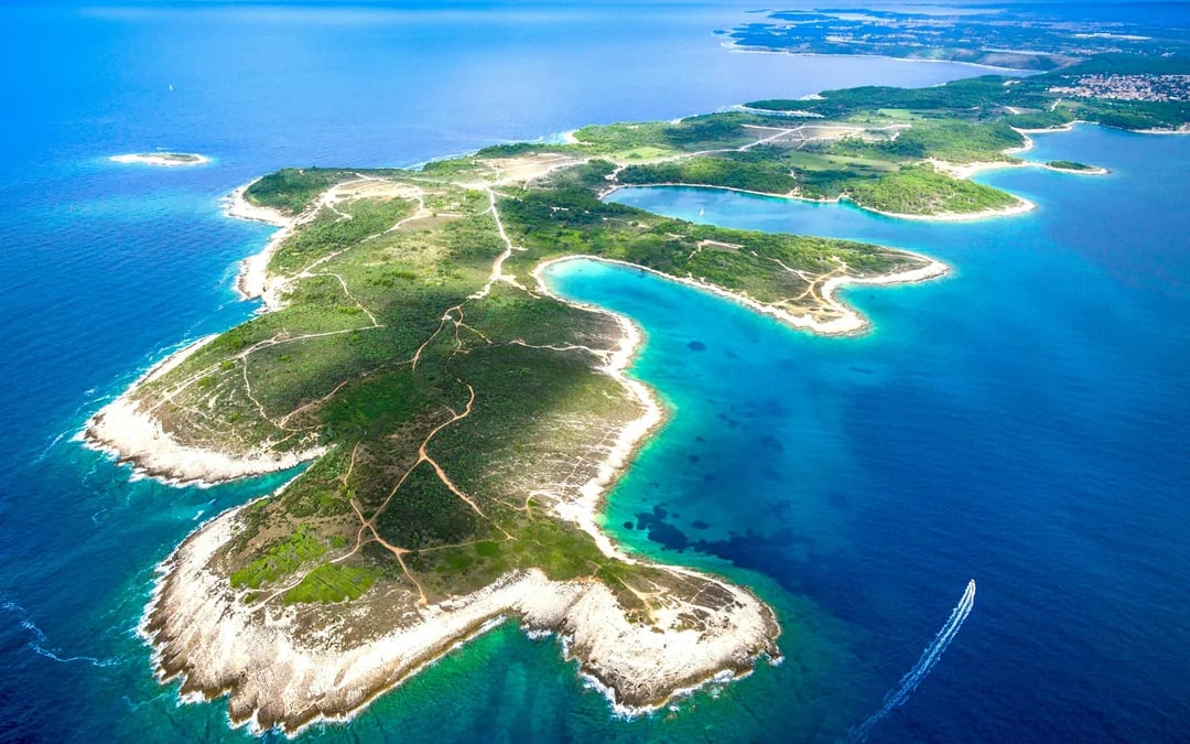 From Fažana: Brijuni Islands, Cape Kamenjak and Blue Cave Private Cruise with Snorkeling Image 11