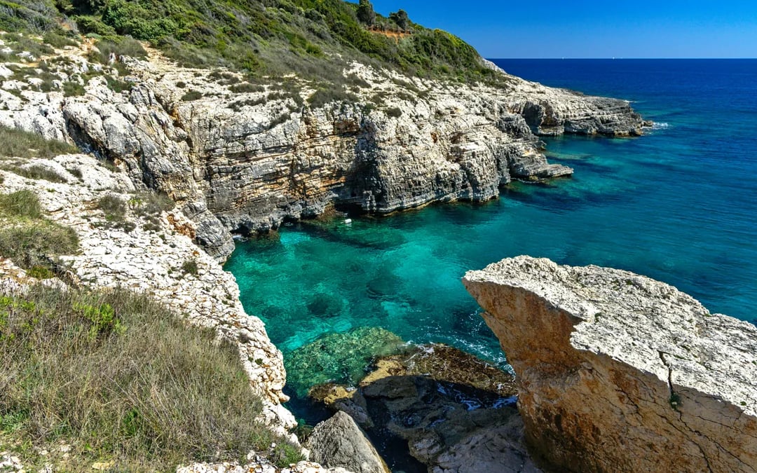 From Fažana: Brijuni Islands, Cape Kamenjak and Blue Cave Private Cruise with Snorkeling Image 8
