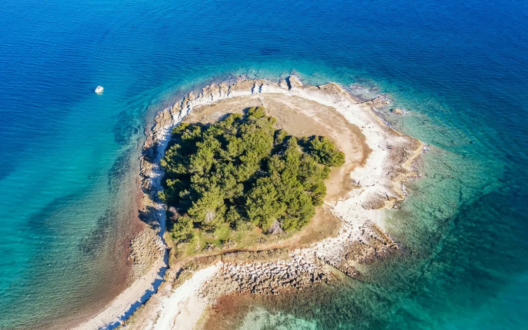 From Fažana: Brijuni Islands, Cape Kamenjak and Blue Cave Private Cruise with Snorkeling Image 10