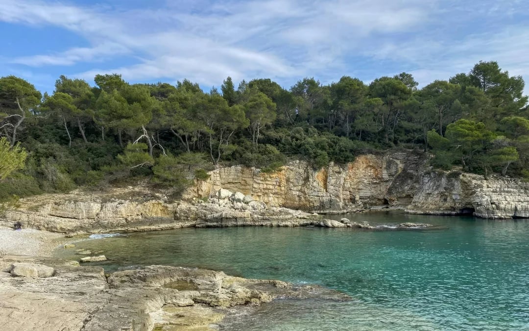 From Fažana: Private Brijuni Islands, Blue Cave, Lagoon and Hidden Bays Cruise with Snorkeling Image 11
