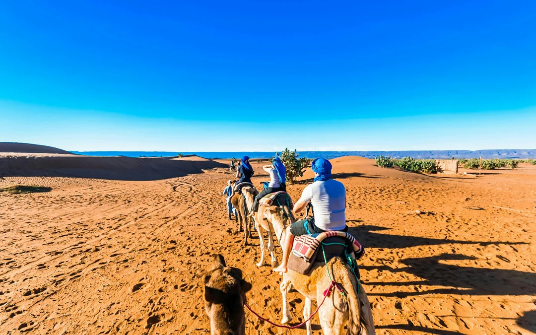 From Fes: 2-Day Merzouga Desert Trip with Luxury Tent, Dinner & Camel Trek Image 1