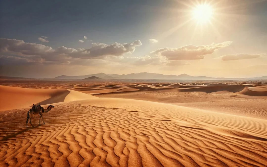 From Fes: 2-Day Merzouga Desert Trip with Luxury Tent, Dinner & Camel Trek Image 3
