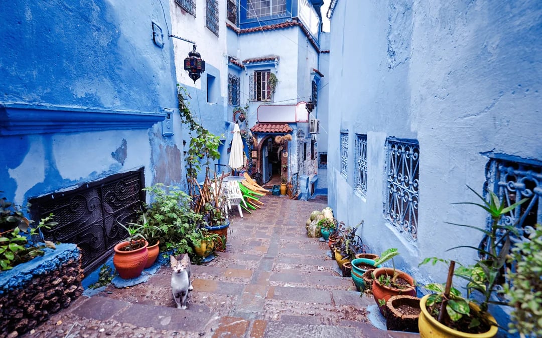 From Fes: Chefchaouen Day Trip Image 2