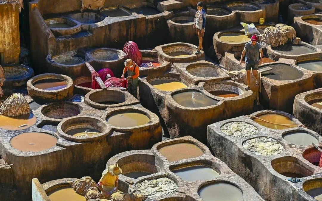 From Fes: City Tour with Royal Palace, Madrasa, Tannery, Souks & Medina Image 3