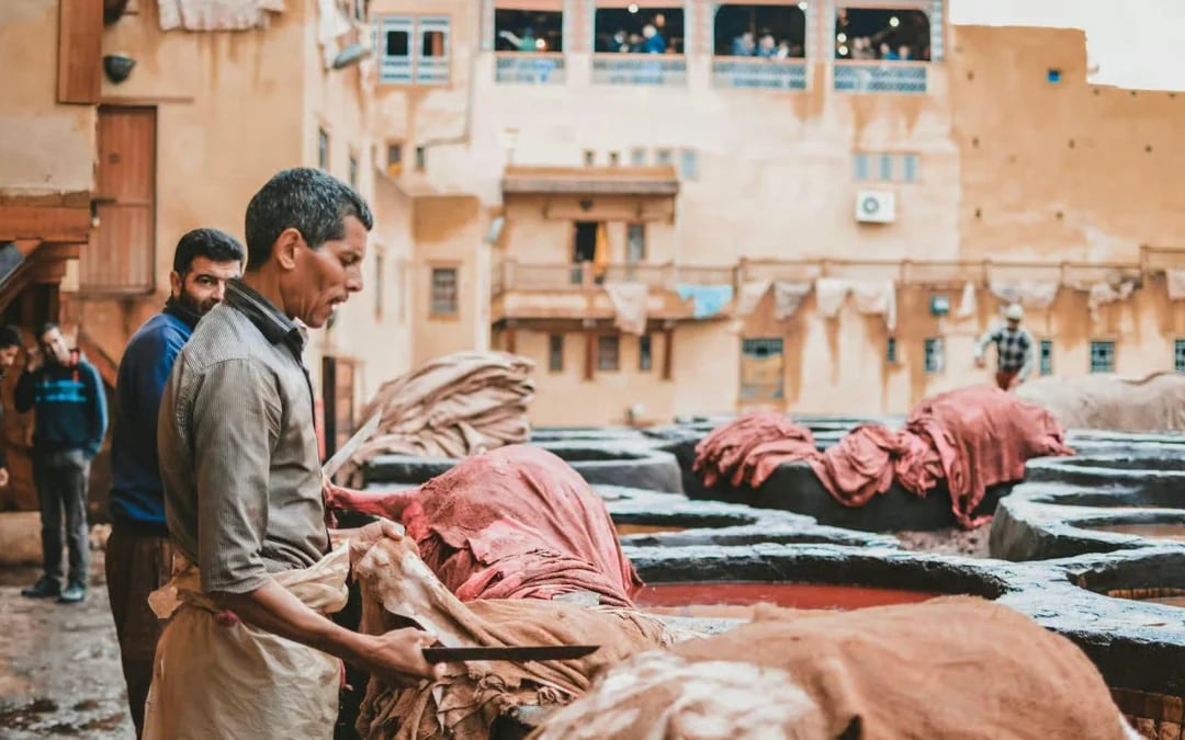 From Fes: City Tour with Royal Palace, Madrasa, Tannery, Souks & Medina  Image 7