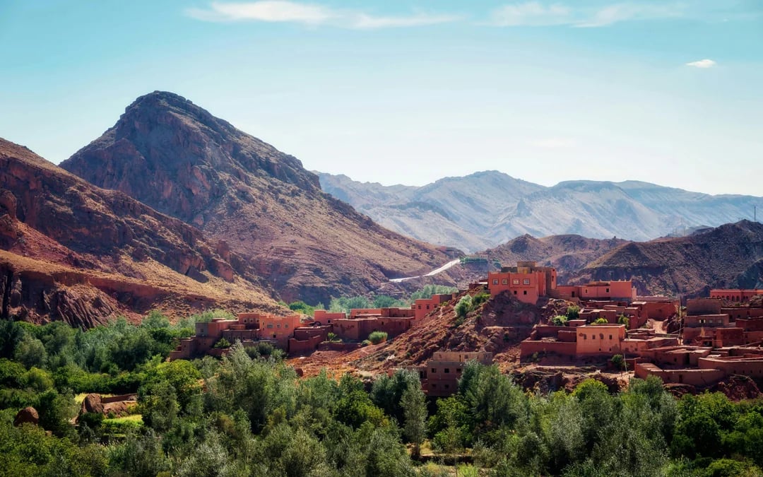 From Fes: Day Trip to Middle Atlas Mountains & Monkey Forest with Barbary Macaques Image 2
