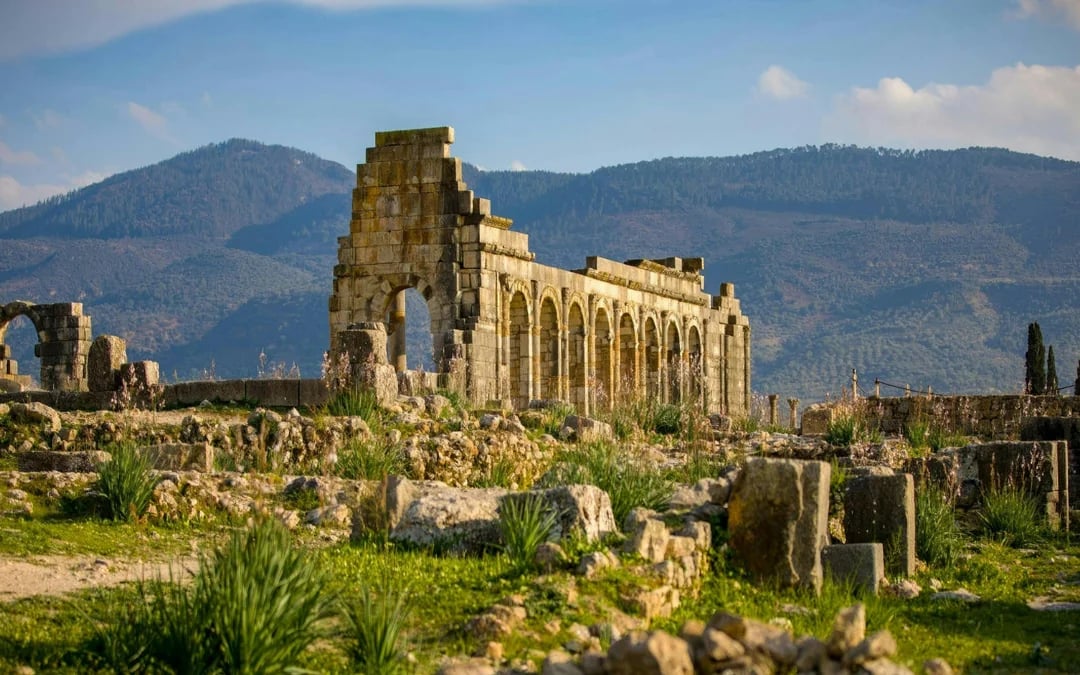 From Fes: Day Trip to Volubilis, Moulay Idriss & Meknes Image 1