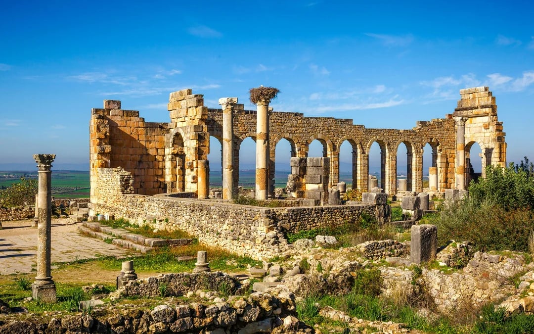 From Fes: Day Trip to Volubilis, Moulay Idriss & Meknes Image 7