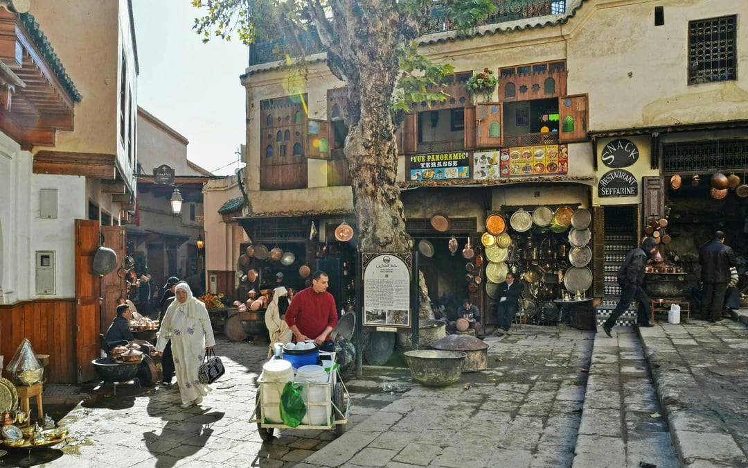 From Fes: Shopping Tour with Hidden Medina Markets, Chouara Tannery & Spice Souks Image 2