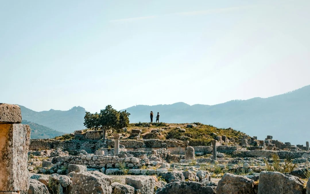 From Fes: Volubilis, Moulay Idriss and Meknes Day Trip Image 3