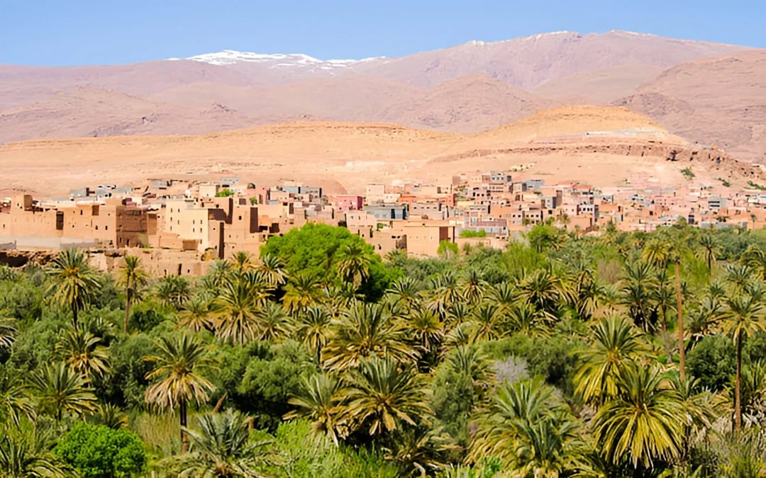 From Fez: Private Erg Chebbi Dunes Tour with Camel Trek and Overnight Desert Camp Image 3