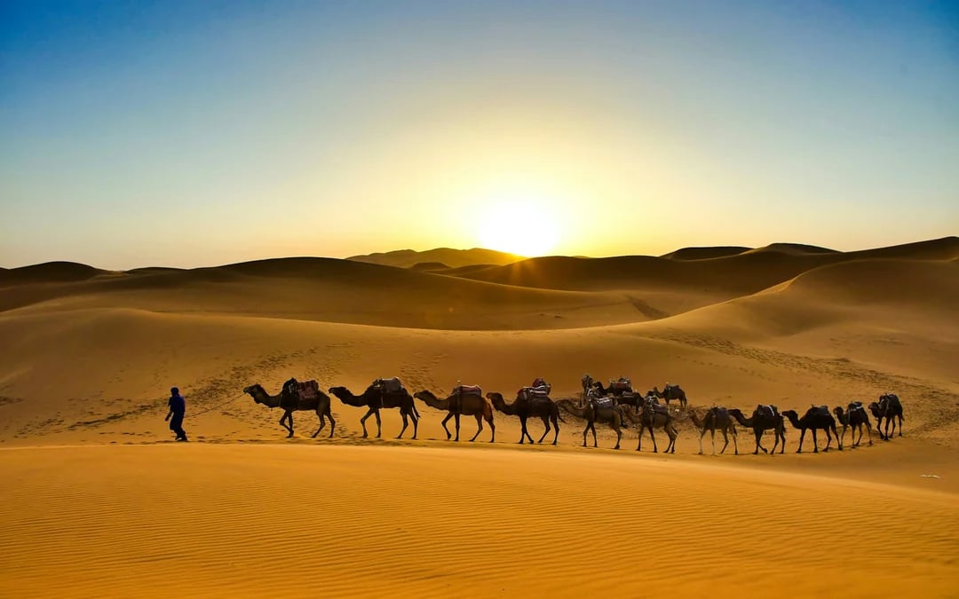From Fez: Private Erg Chebbi Dunes Tour with Camel Trek and Overnight Desert Camp Image 5