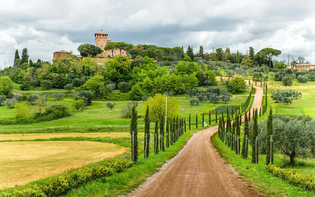 From Florence: Chianti Wineries Tour with Wine Tasting Image 1