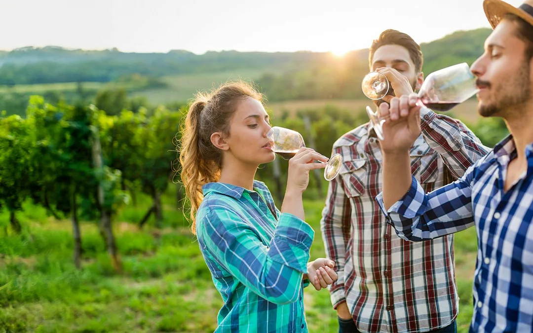 From Florence: Chianti Wineries Tour with Wine Tasting Image 2