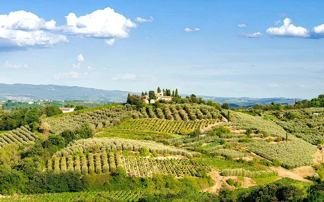 From Florence: Chianti Wineries Tour with Wine Tasting Image 3