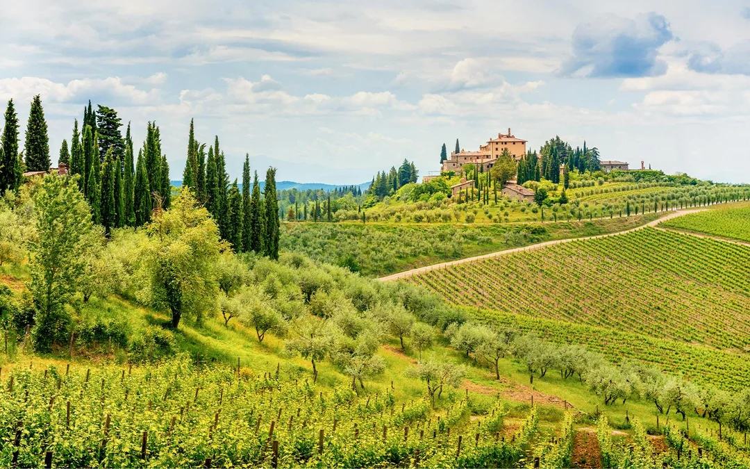 From Florence: Chianti Wineries Tour with Wine Tasting Image 5
