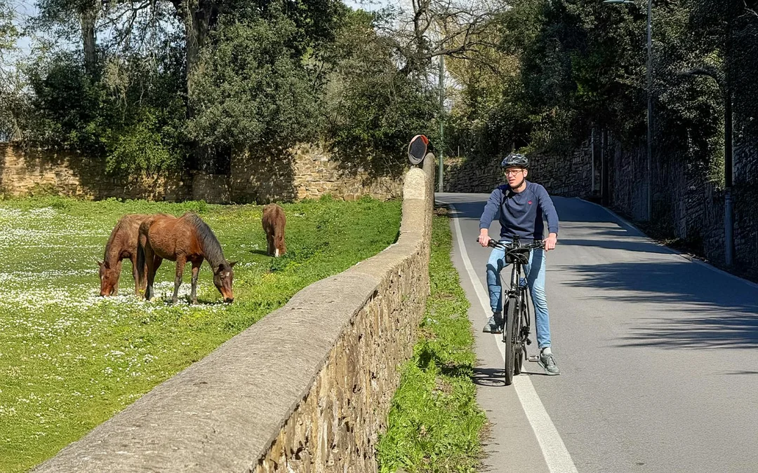 From Florence: E-Bike Tour through Tuscany & Chianti with Lunch Image 3