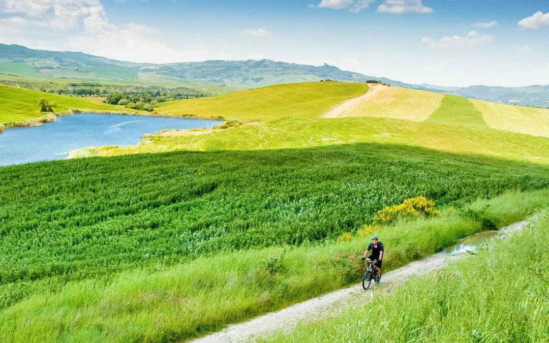 From Florence: E-Bike Tour through Tuscany & Chianti with Lunch Image 7