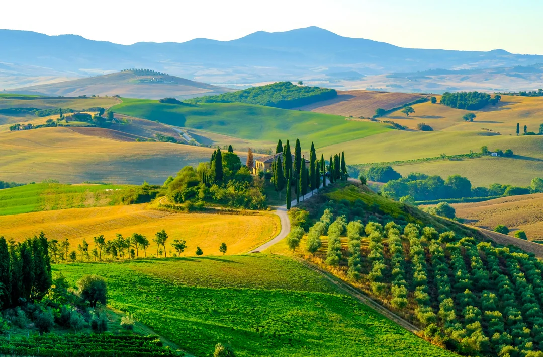 From Florence: Guided Vespa Tour of Tuscany Image 7