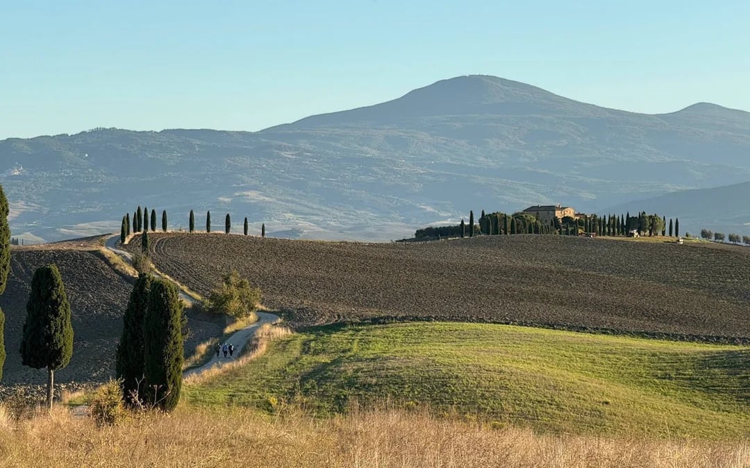 From Florence: Private Val d’Orcia Tour to Pienza, Montepulciano, and Montalcino with Farm and Cellar Tastings Image 2