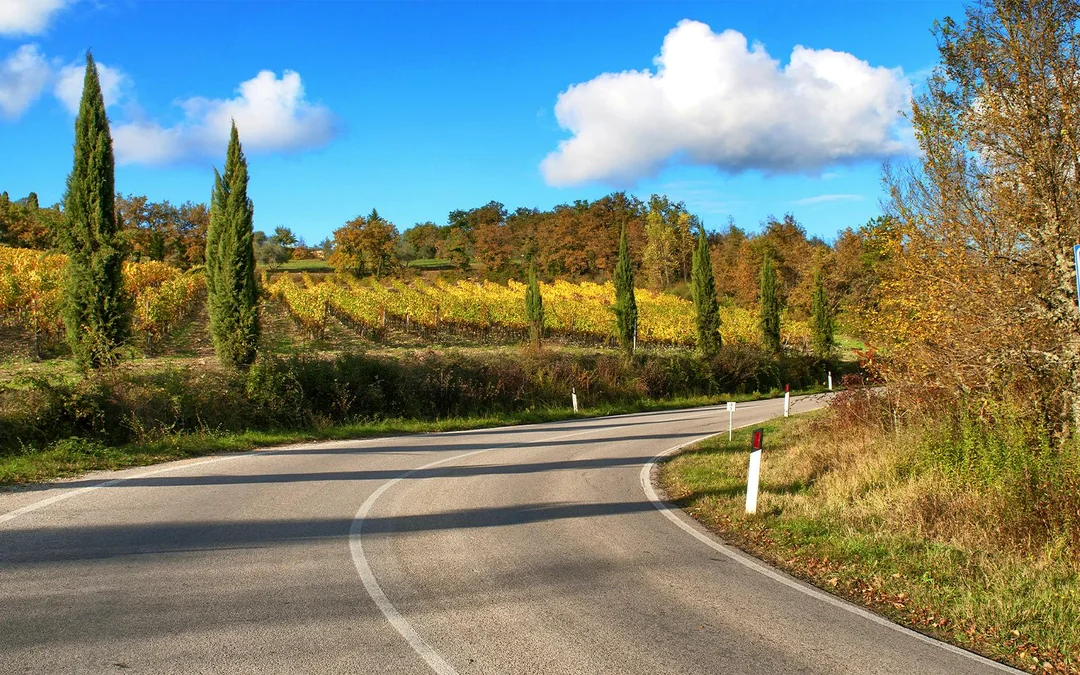 From Florence: Siena and Chianti Day Trip with Dinner & Regional Pairings Image 3