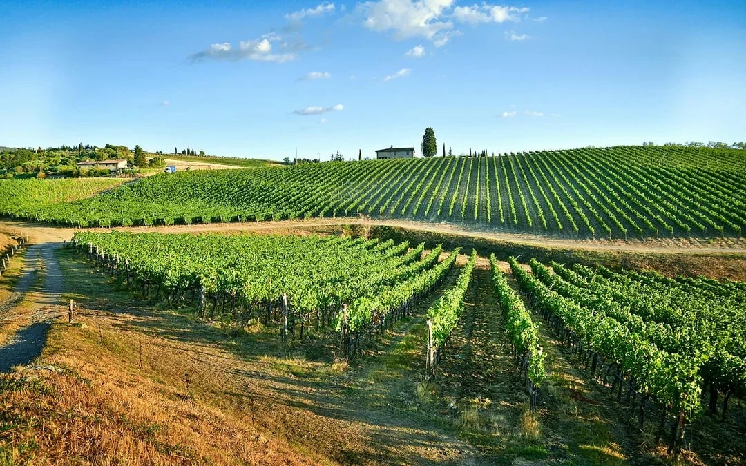 From Florence: Siena and Chianti Day Trip with Dinner & Regional Pairings Image 4