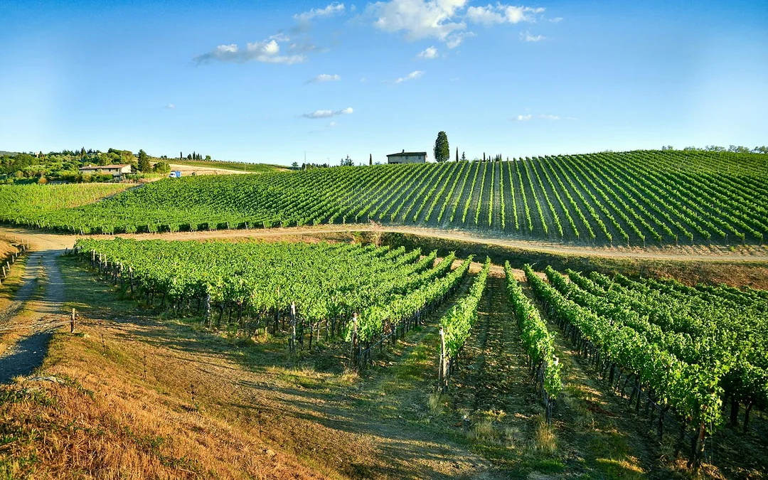 From Florence: Siena and Chianti Day Trip with Dinner & Regional Pairings Image 4