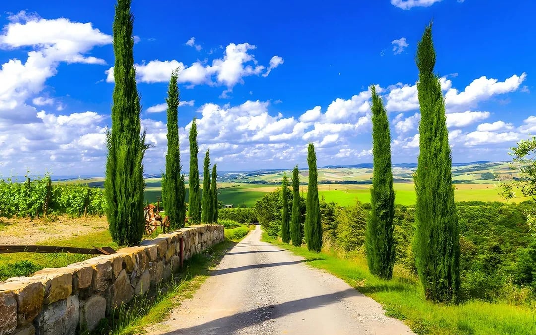 From Florence: Siena and Chianti Day Trip with Dinner & Regional Pairings Image 8