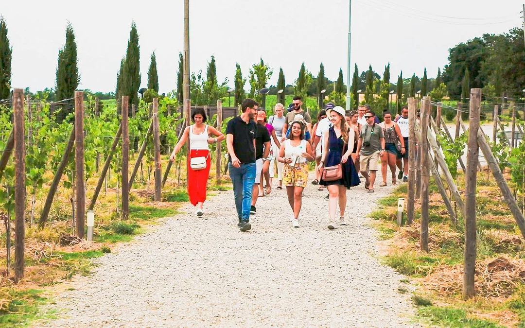 From Florence: Siena & San Gimignano Day Trip with Wine Tastings & Lunch Image 3