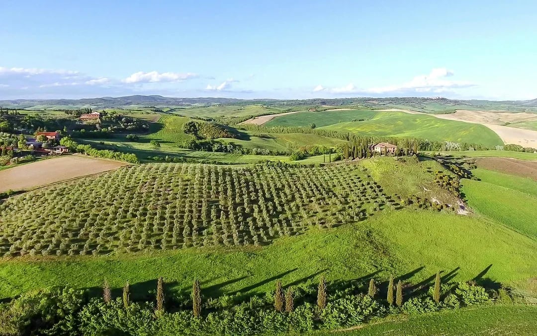 From Florence: Siena & San Gimignano Day Trip with Wine Tastings & Lunch Image 8
