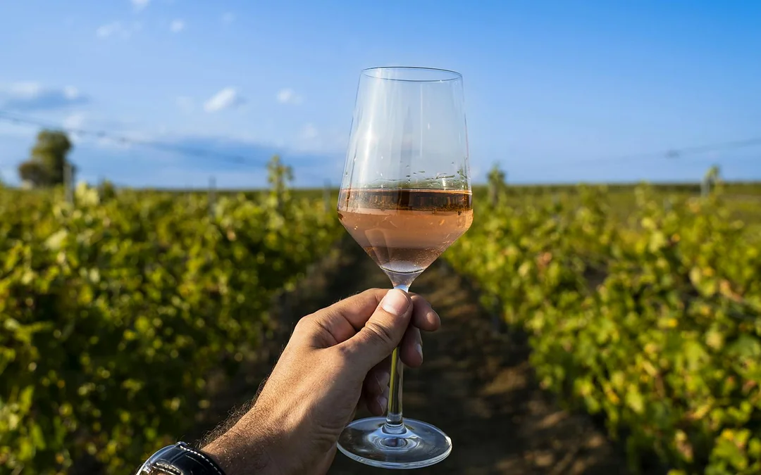 From Florence: Siena, San Gimignano & Chianti Day Trip with Wine Tastings Image 4