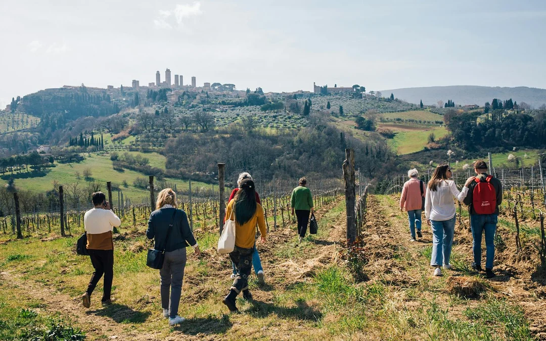 From Florence: Tuscany, Siena, San Gimignano & Pisa Day Trip Image 12
