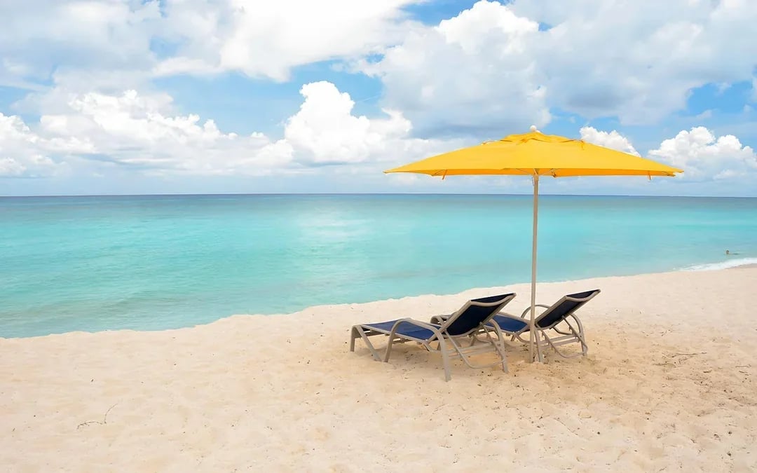 From Fort Lauderdale: Bimini Bahamas Day Trip by Ferry Image 11